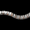 Praesidium Titanium Magnetic Steel Band