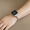 Careo Slim Stainless Steel Link Band - Astra Straps