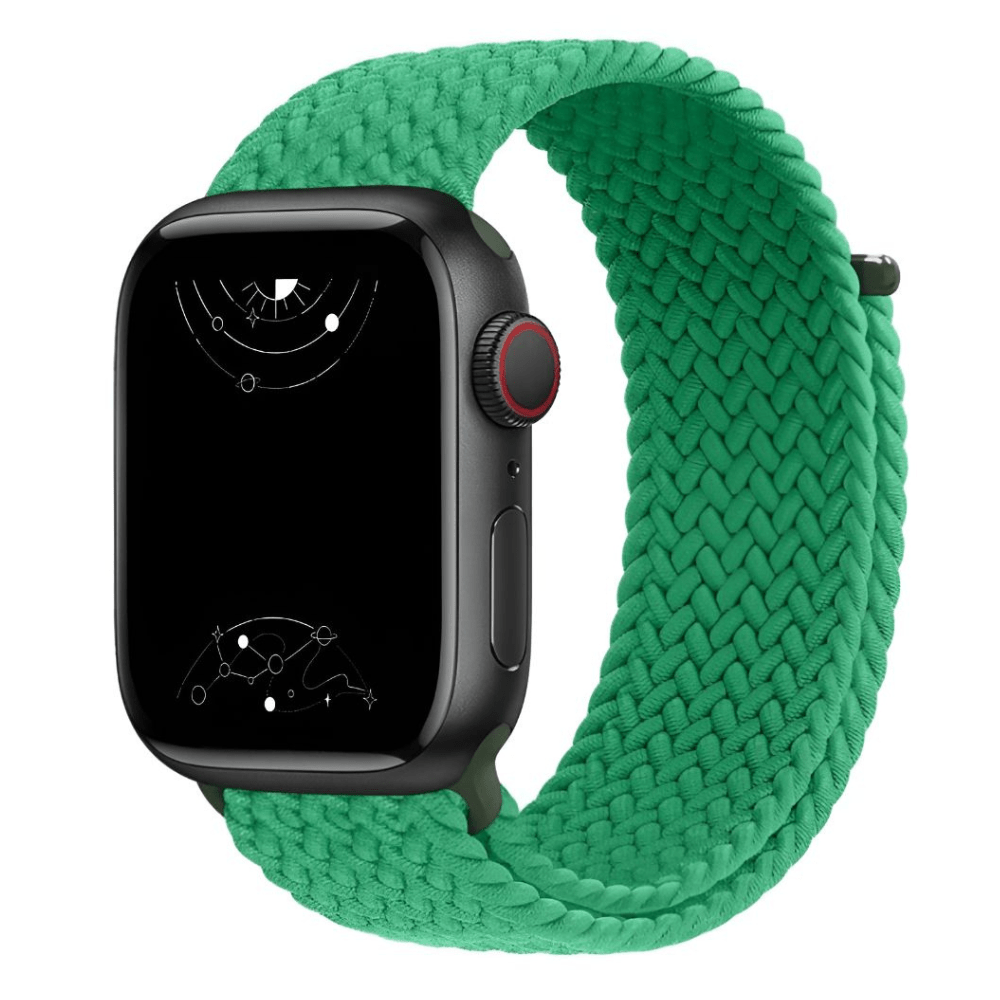 Caterva Elastic Braided Solo Loop Band - Astra Straps
