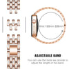 Deliciae Luxury Band + Case - Astra Straps