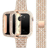 Deliciae Luxury Band + Case - Astra Straps
