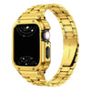 Pollex Stainless Steel Band With Case - Astra Straps